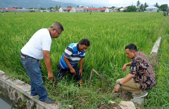 Pengendalian-Hama-Tikus-Di-Gorontalo-110222-Aws-2